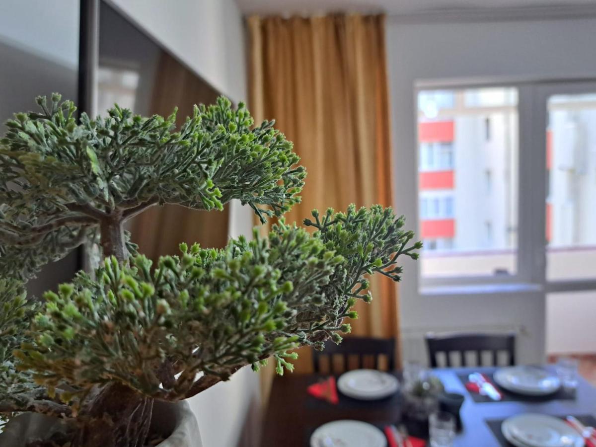 Aviliz Apartament Buşteni Eksteriør bilde
