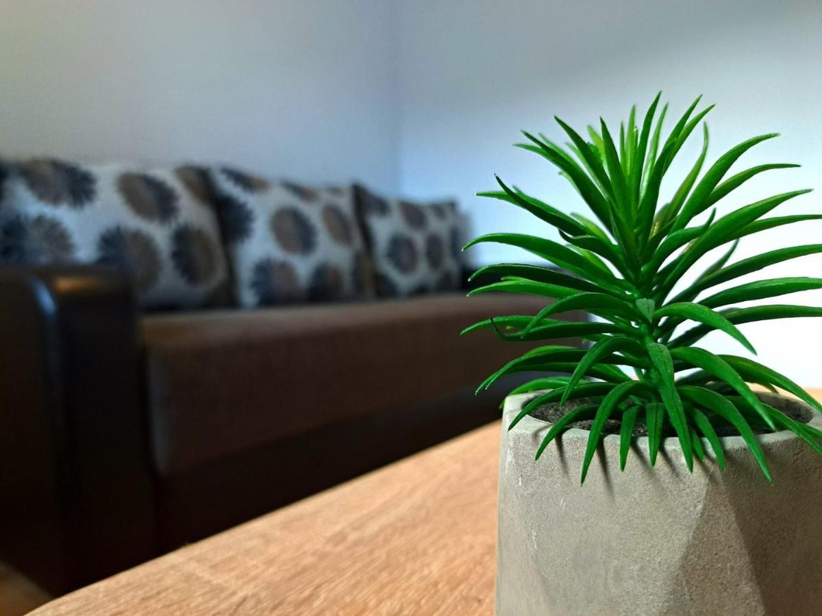 Aviliz Apartament Buşteni Eksteriør bilde