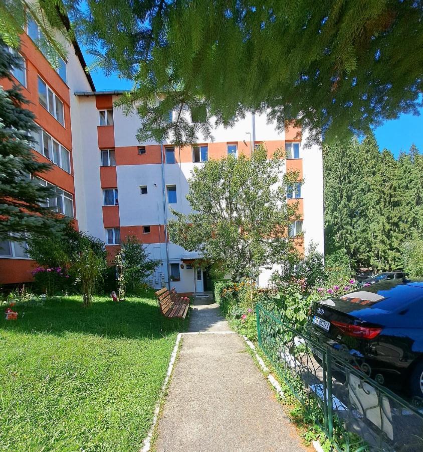Aviliz Apartament Buşteni Eksteriør bilde