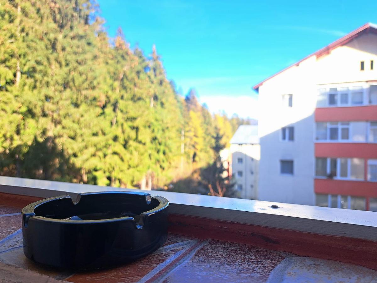 Aviliz Apartament Buşteni Eksteriør bilde
