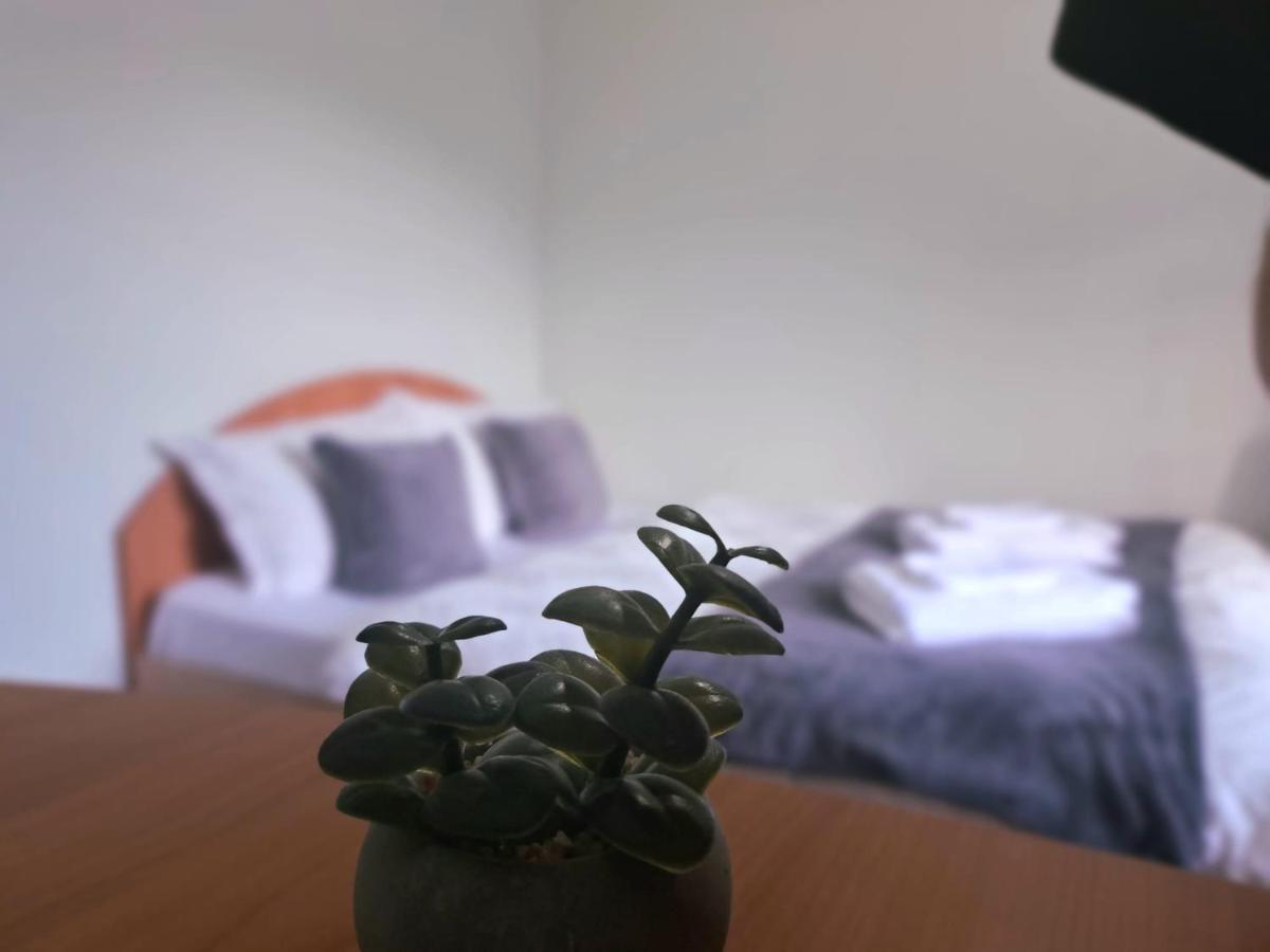 Aviliz Apartament Buşteni Eksteriør bilde